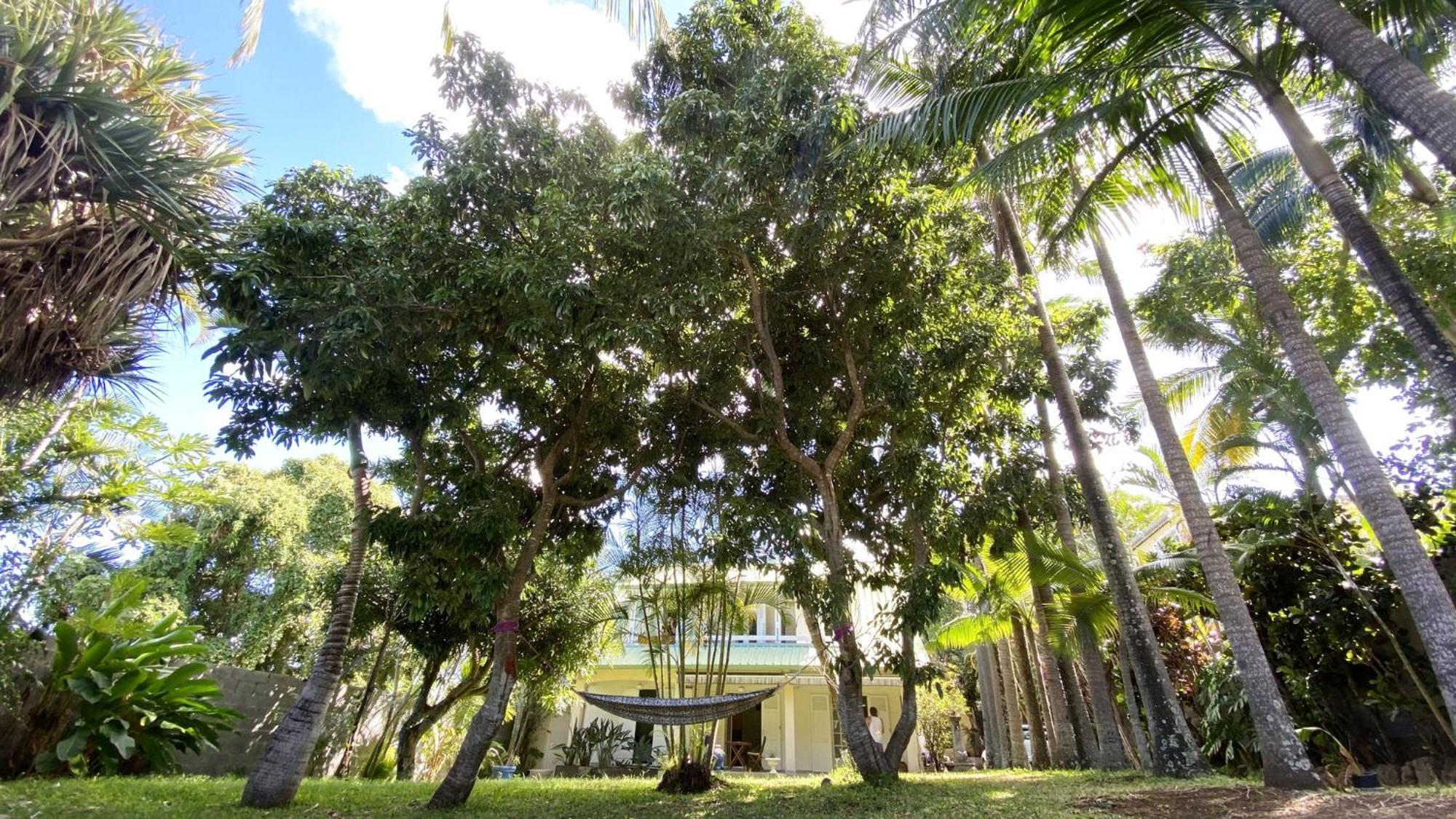 Coliver - Coliving A La Reunion Saint Pierre Exteriér fotografie