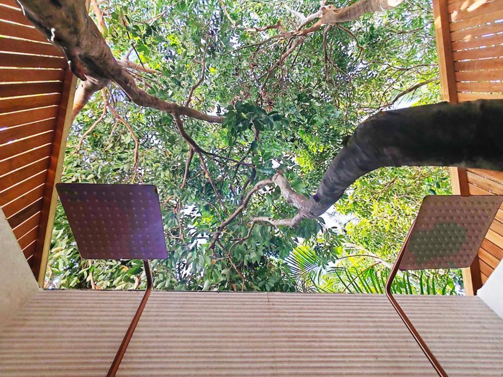 Coliver - Coliving A La Reunion Saint Pierre Exteriér fotografie