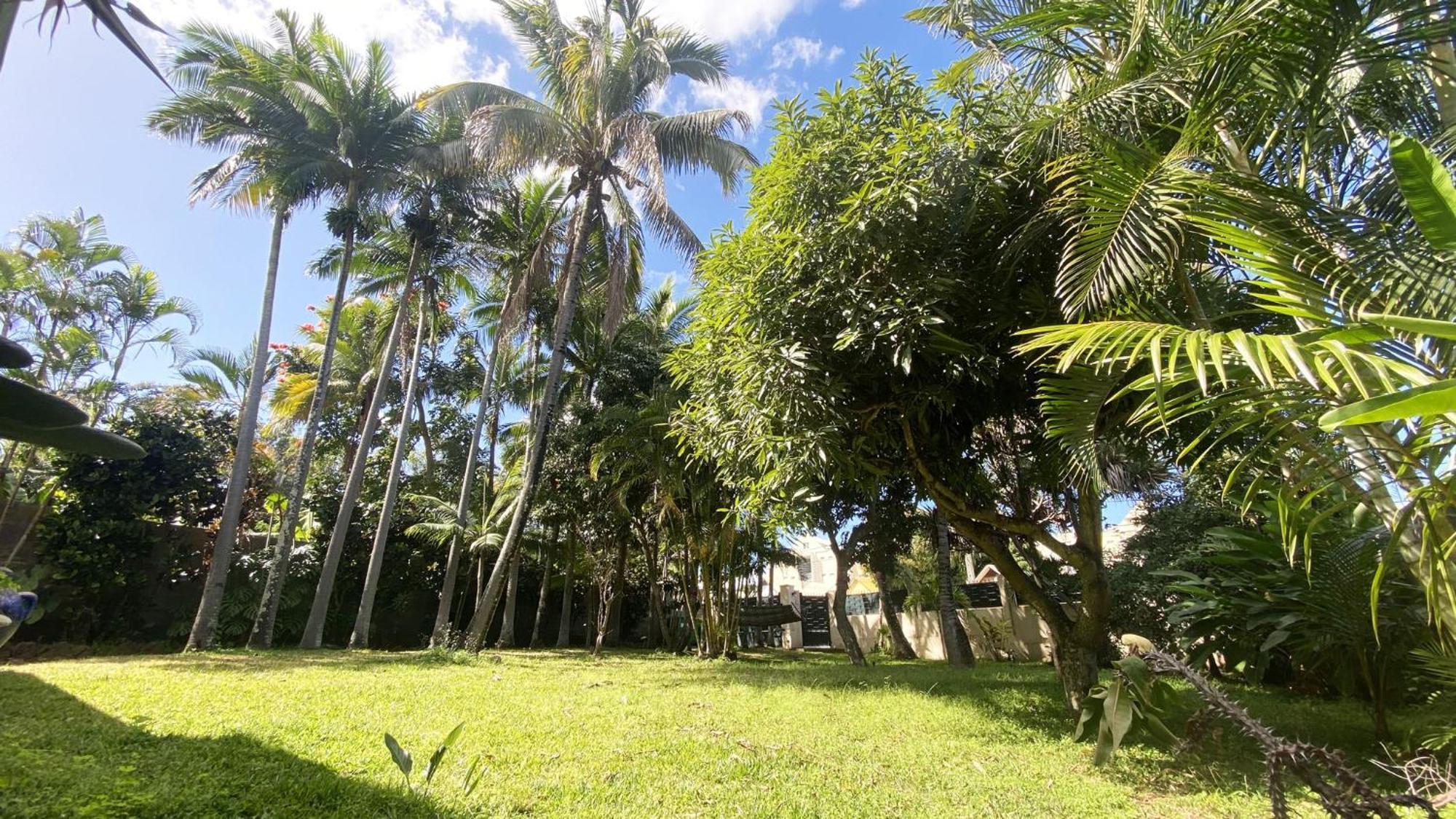 Coliver - Coliving A La Reunion Saint Pierre Exteriér fotografie
