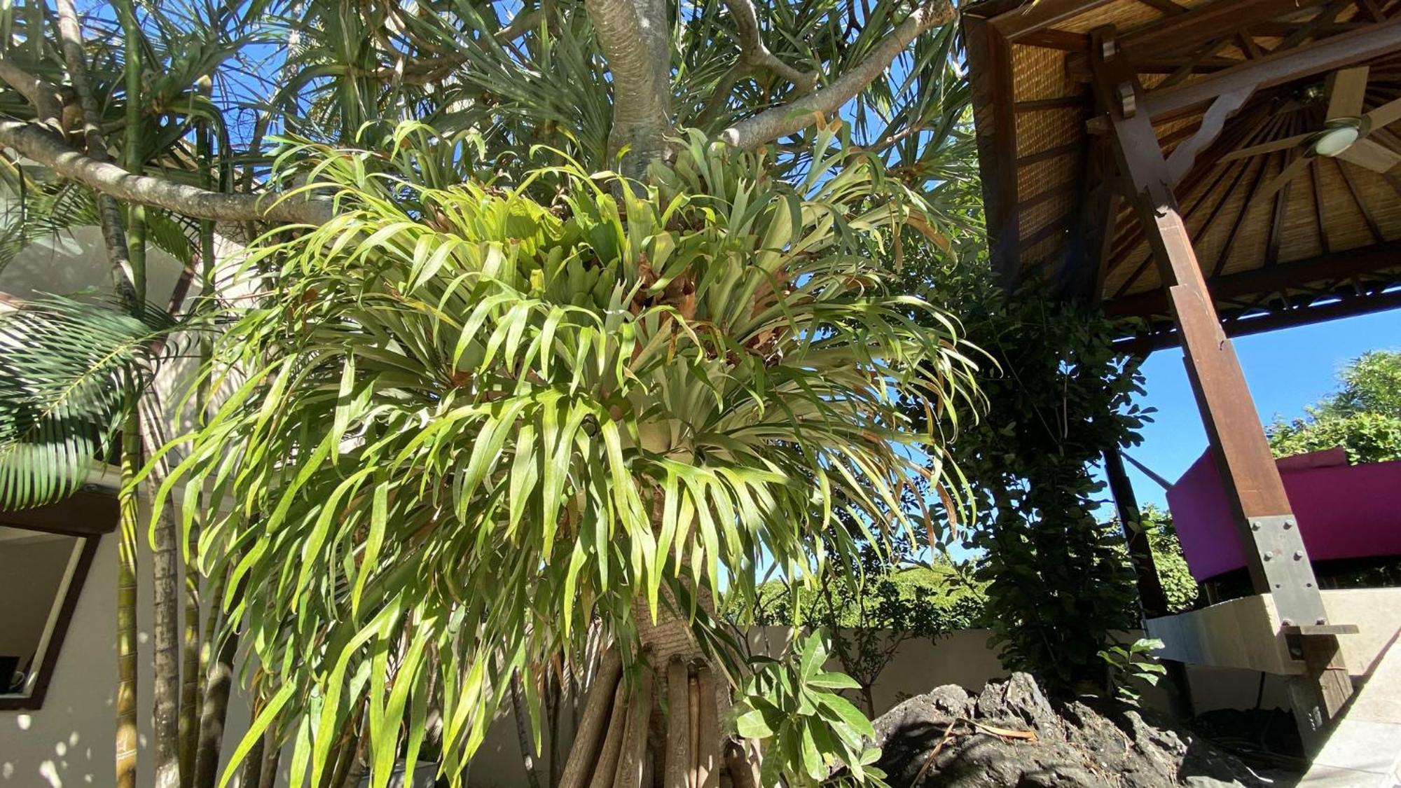 Coliver - Coliving A La Reunion Saint Pierre Exteriér fotografie