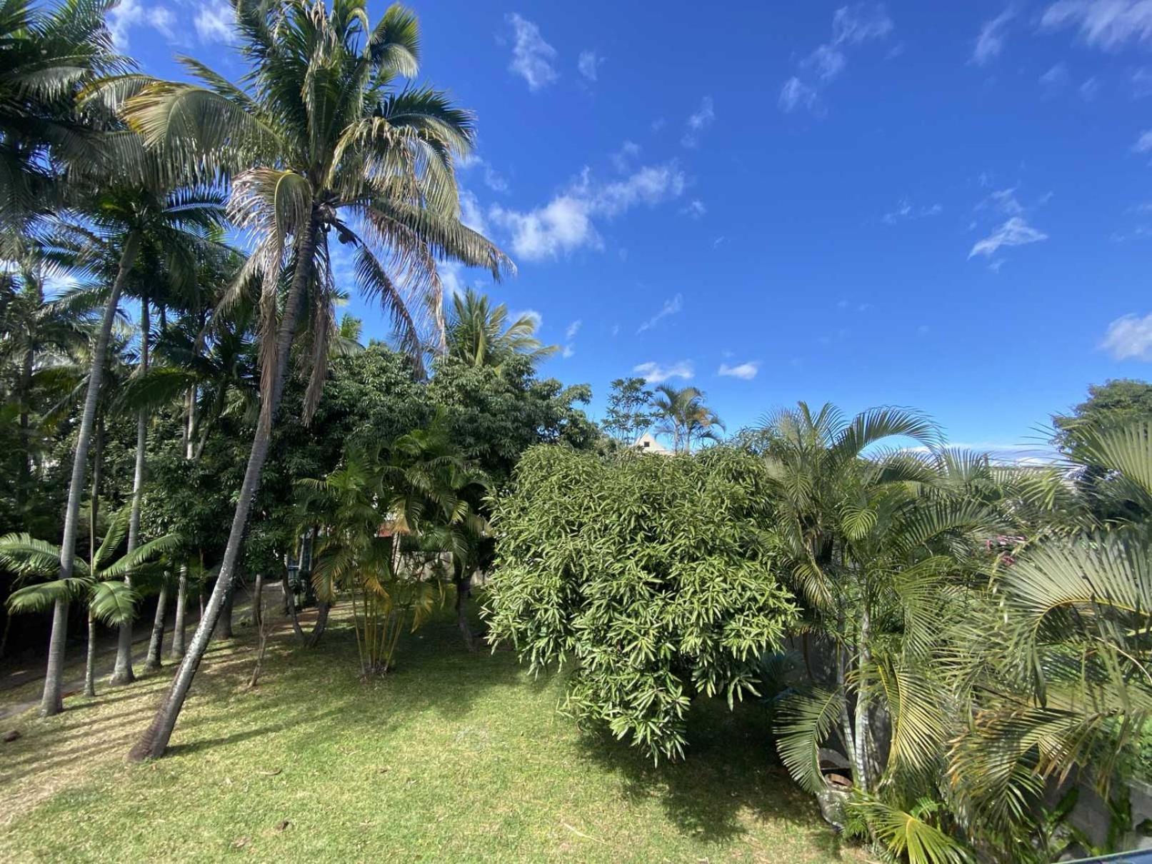 Coliver - Coliving A La Reunion Saint Pierre Exteriér fotografie
