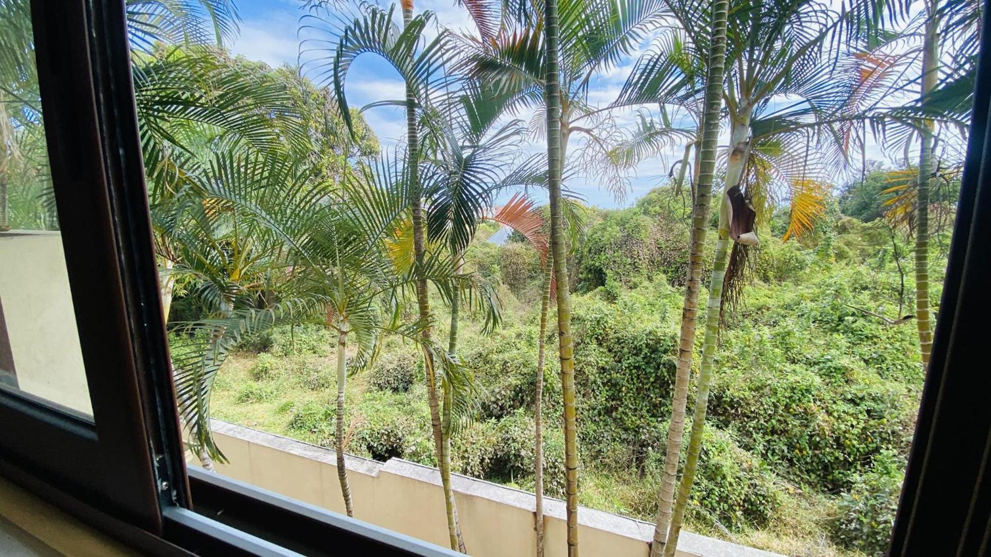 Coliver - Coliving A La Reunion Saint Pierre Exteriér fotografie